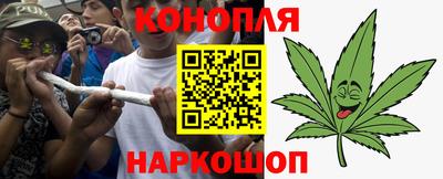 сатива Гатчина